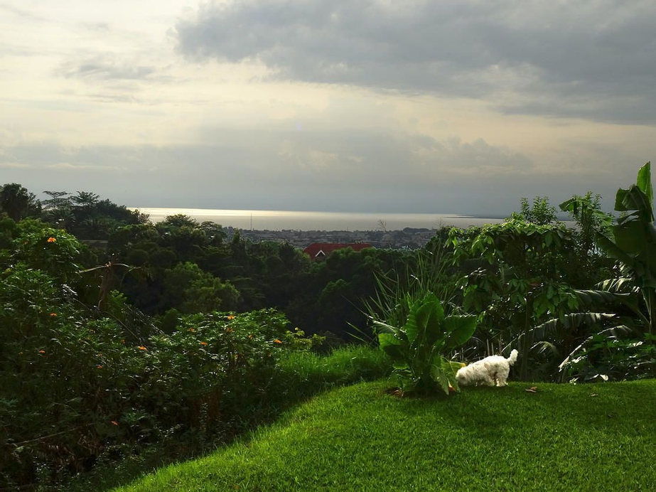 Goodlife Residence, Roherero