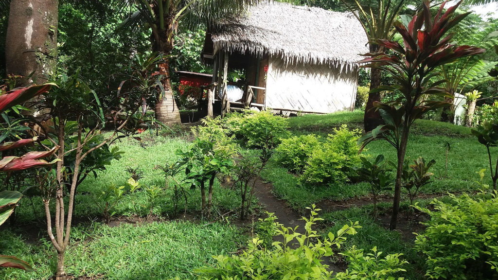 Tanna Eco Venture Bungalow, South West Tanna