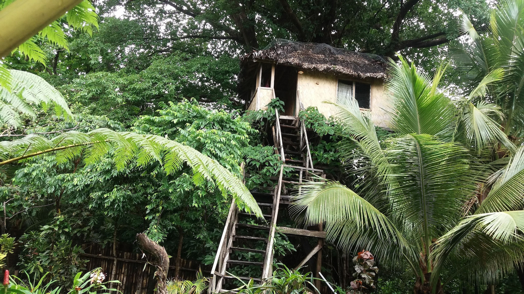 Tanna Eco Venture Bungalow, South West Tanna