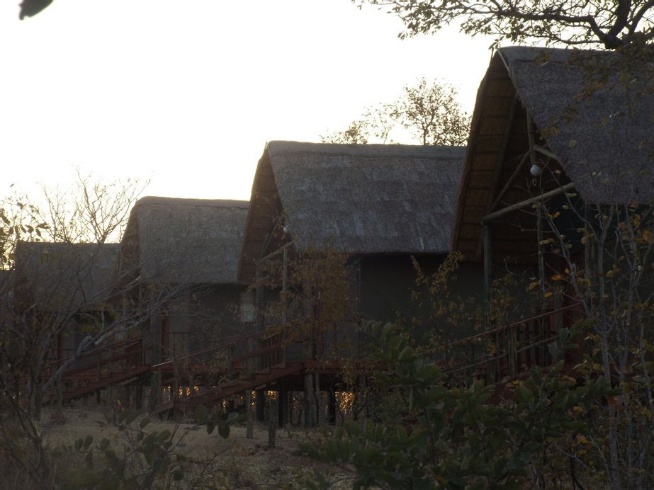 Lion Roars Lodge, Chobe