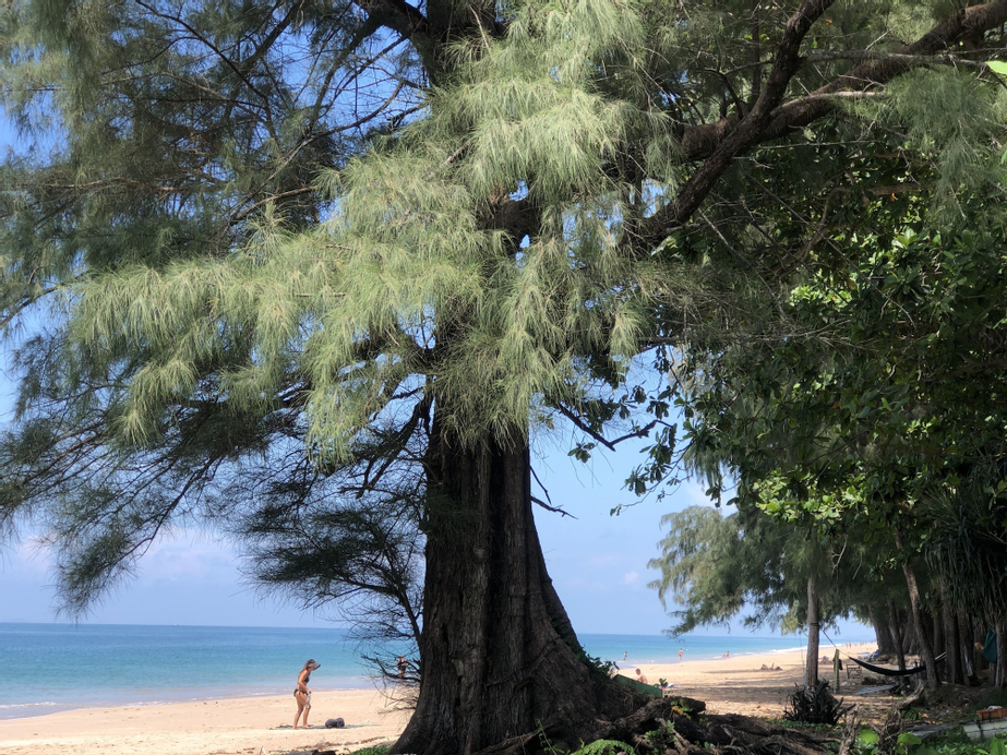 Wonderful Resort, Ko Lanta
