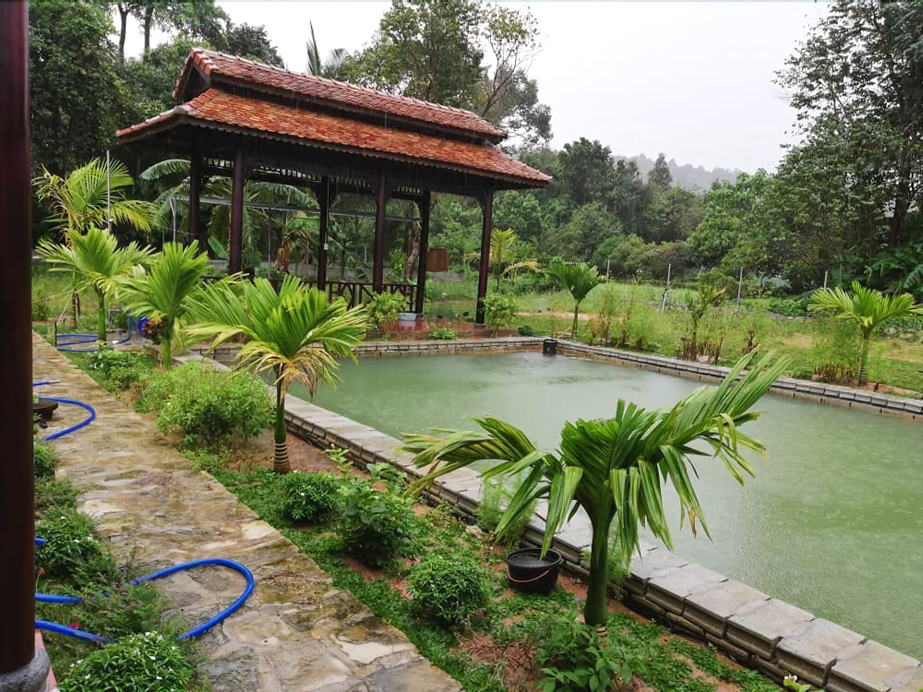 Areca Garden Bungalow, Phú Quốc