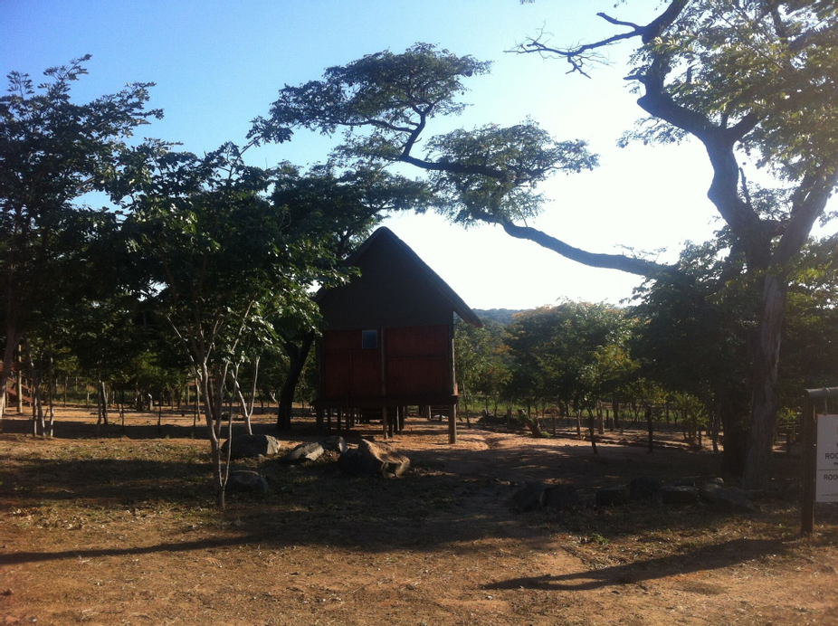 Lion Roars Lodge, Chobe