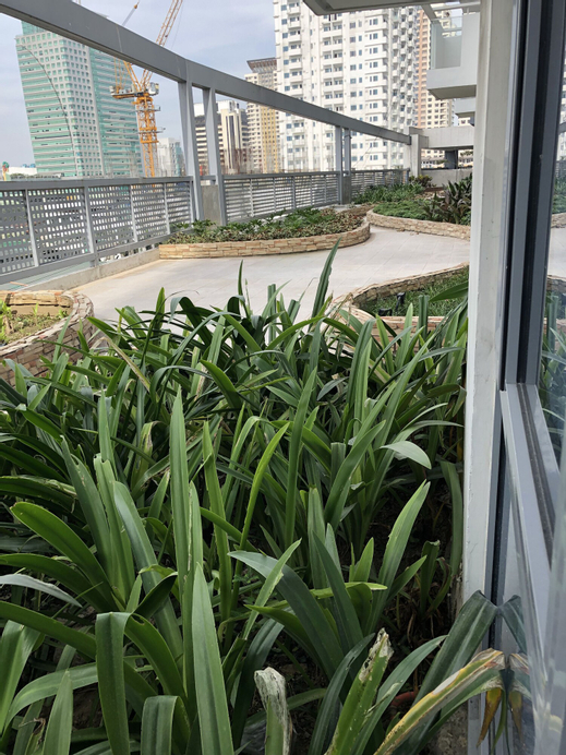 Cubao ManhattanHeights Unit 4Q Tower D, Quezon City