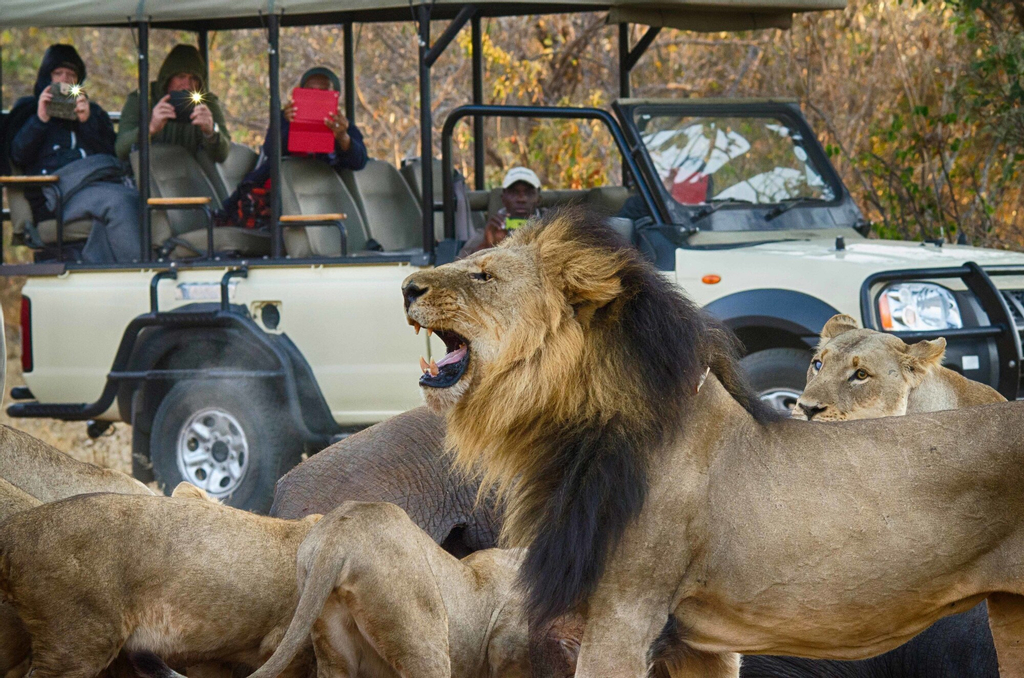 Tlouwana Camp, Chobe