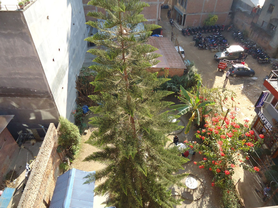 Hotel Discovery Inn, Bagmati
