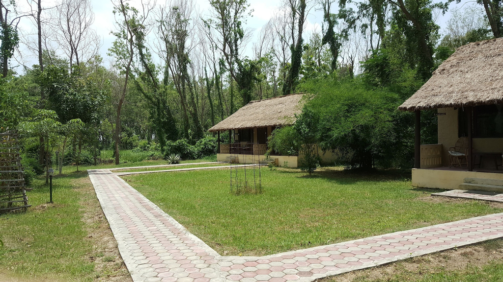 Lumbini Buddha Garden Resort, Lumbini
