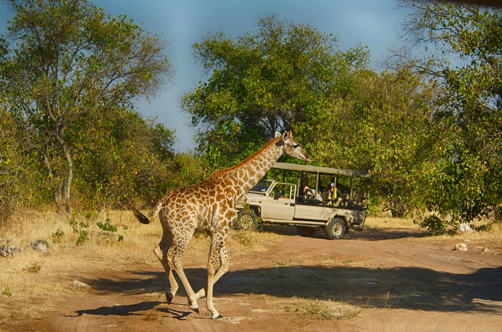 Tlouwana Camp, Chobe