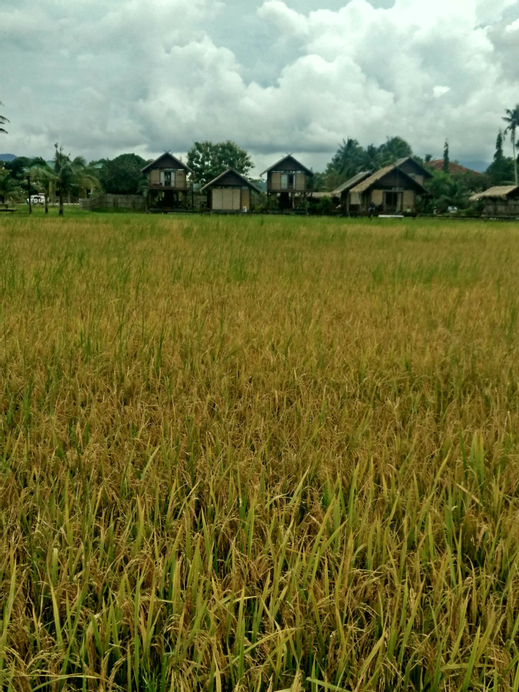 The Gemalai Village, Langkawi