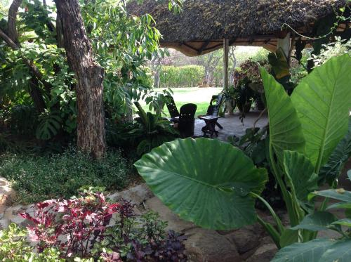 Lynn's Guest House, Bulawayo