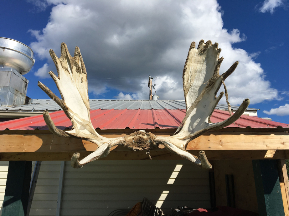 Kluane Park Inn, Yukon
