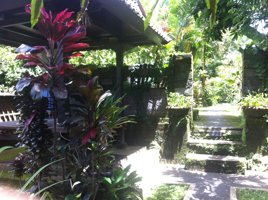 Karang Mesari Ubud Guest House, Gianyar