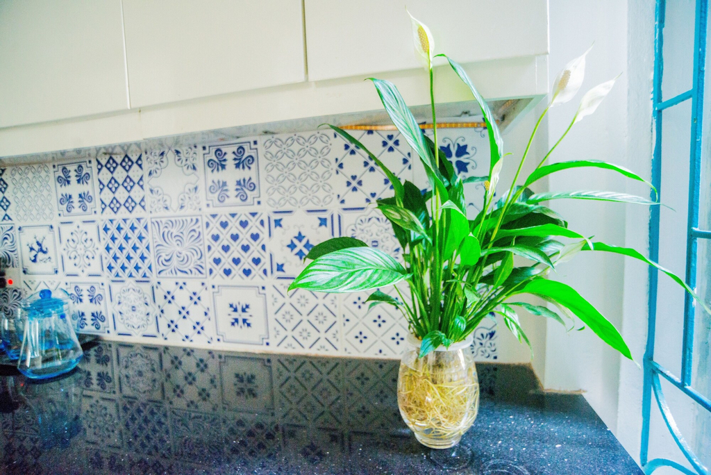 Homestay in Centre Hanoi Hoan Kiem, Hoàn Kiếm