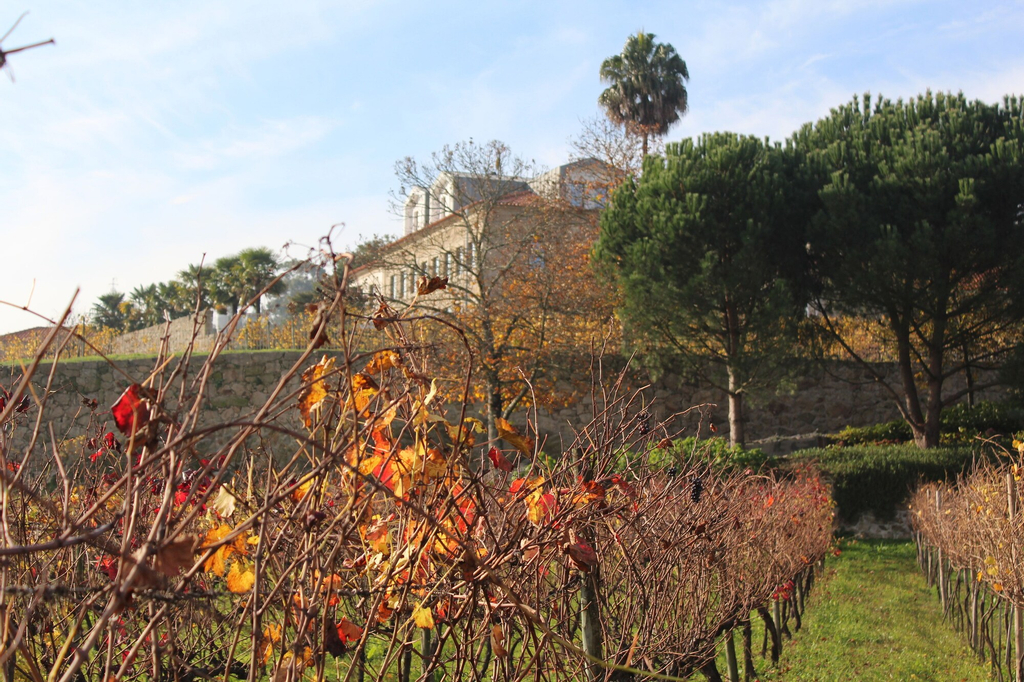 Hotel Rural Quinta das Quintães, Penafiel