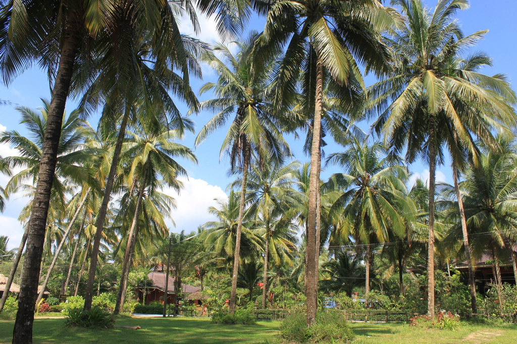 Sudala Beach Resort, Takua Pa