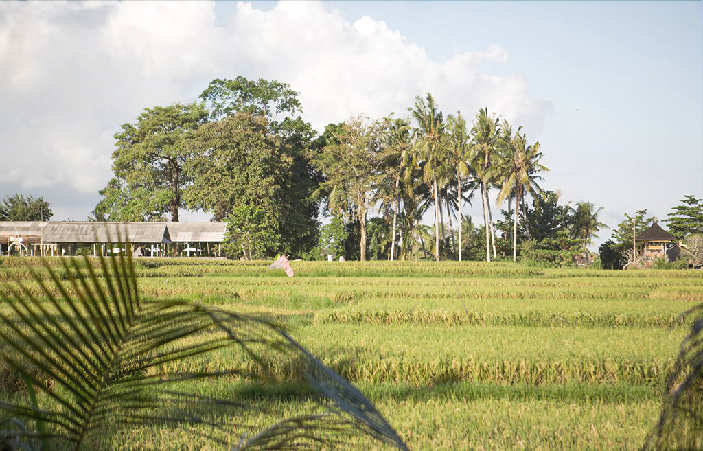 Soulshine Bali, Gianyar