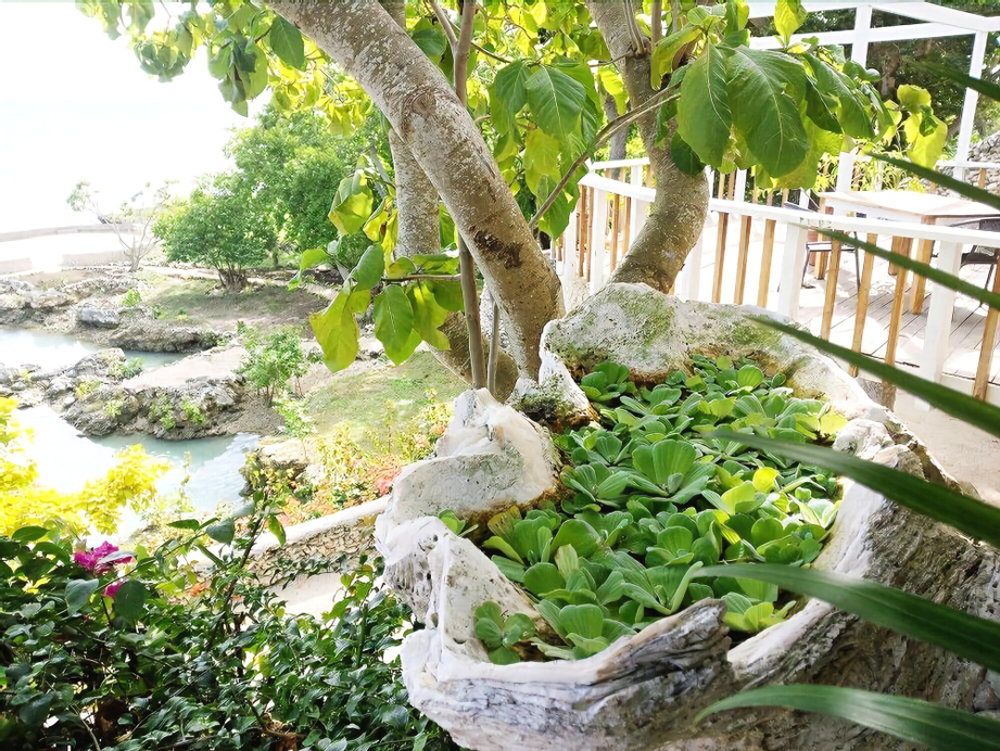 Tanna Evergreen Resort & Tours, West Tanna