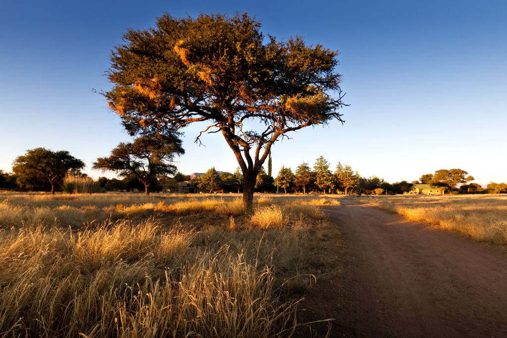 Ondekaremba Lodge, Windhoek Rural