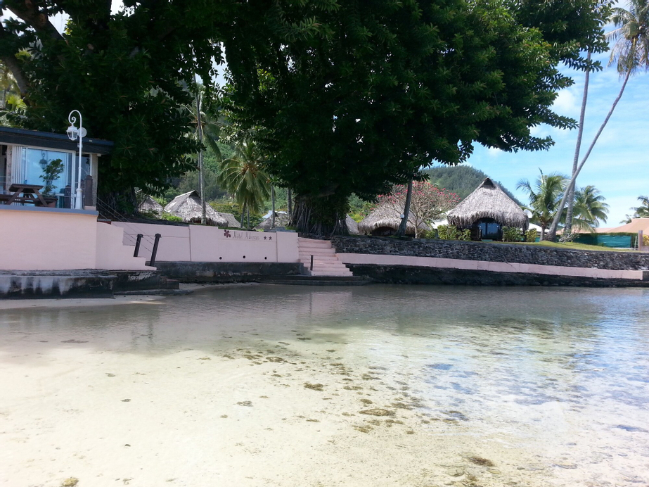 Hotel Hibiscus,