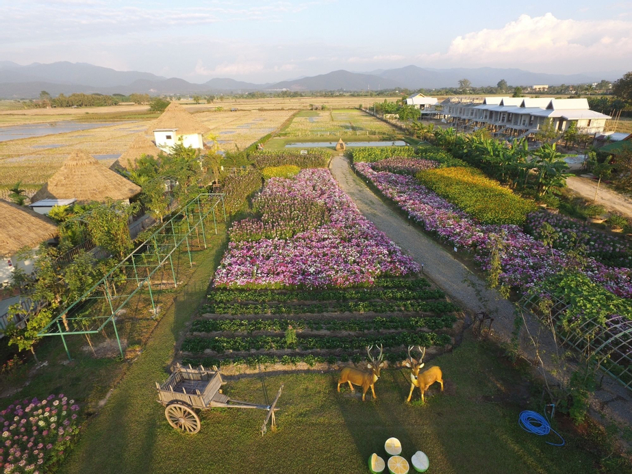Phusanfah Resort, Mae Taeng