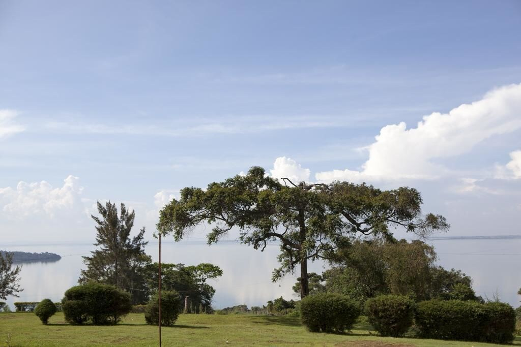 Ssese Habitat Resort, Bujumba