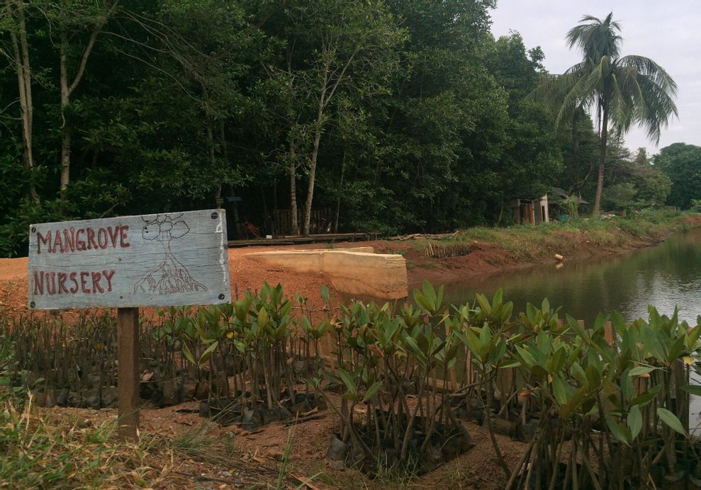 Bakau Hijau Riverlodge - Hostel, Kuala Muda