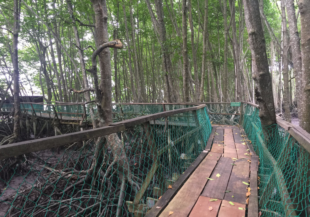 Bakau Hijau Riverlodge - Hostel, Kuala Muda