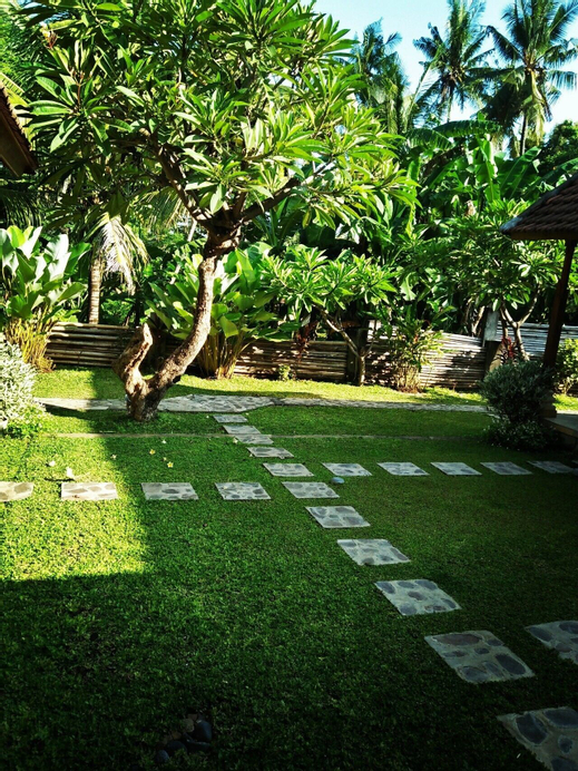 Memes House Backpacker, Buleleng