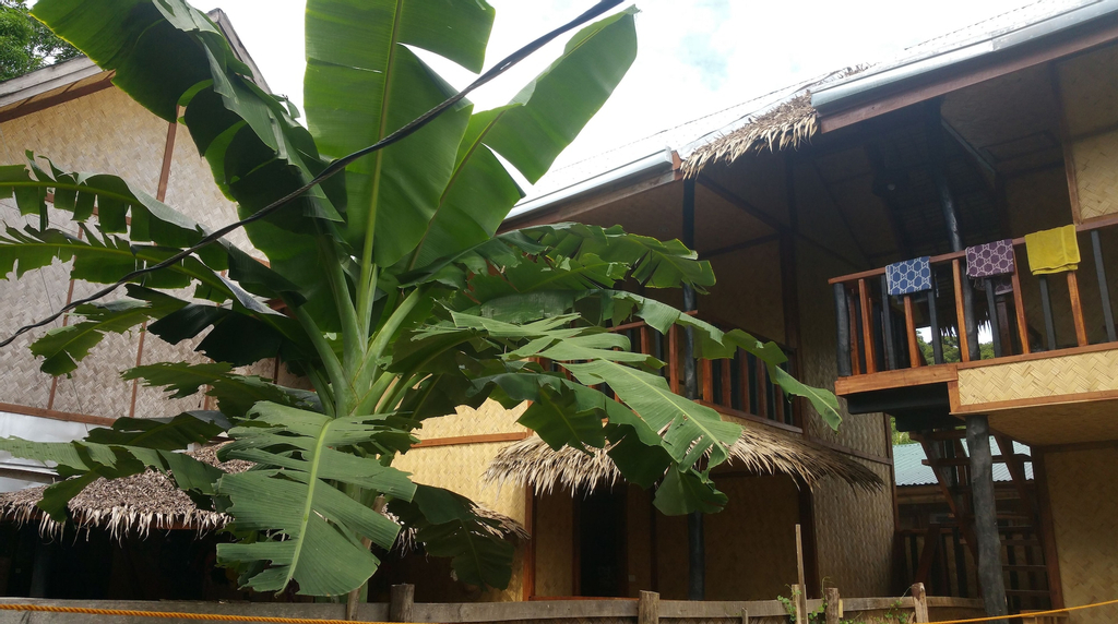 El Nido Dragonfly, El Nido