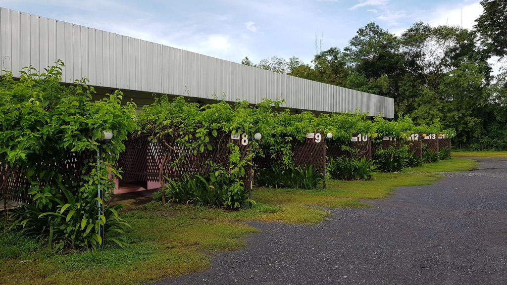 Rainbow Resort, Phen