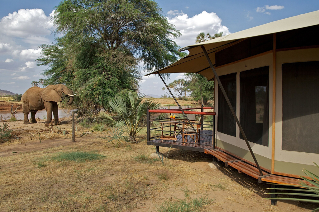 Ashnil Samburu Camp, Isiolo North