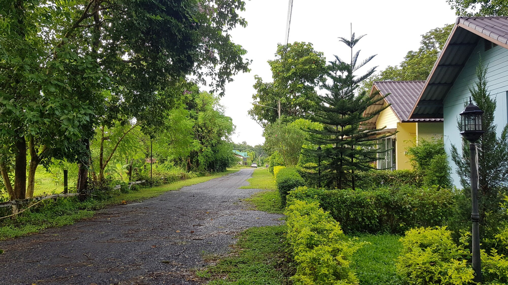 Rainbow Resort, Phen