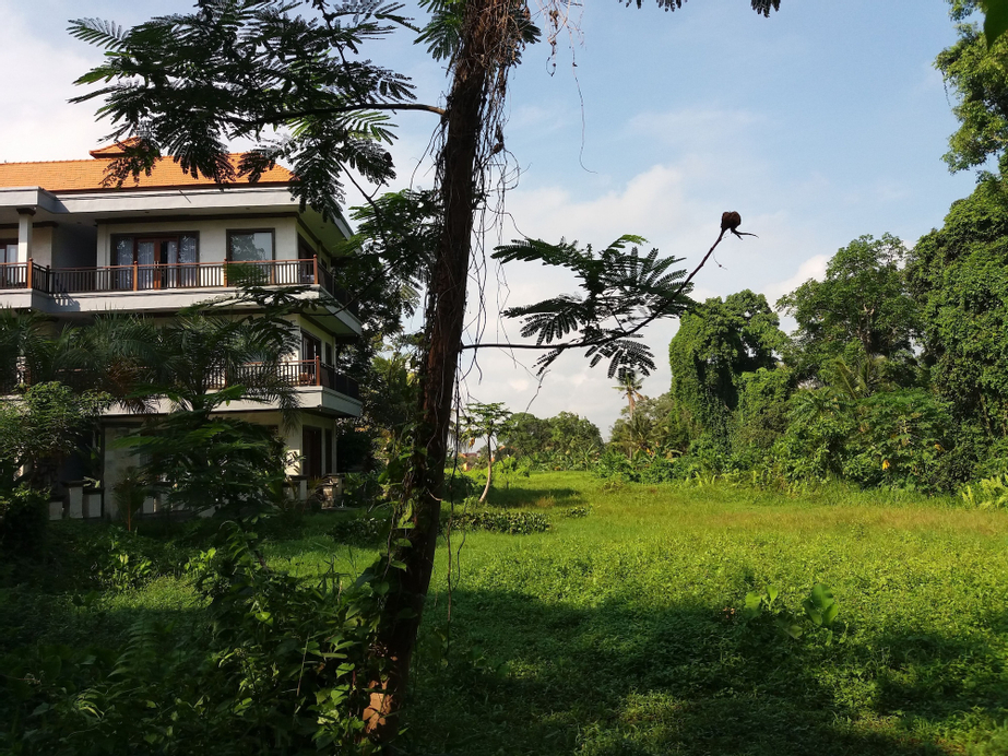 Amoya Inn, Gianyar