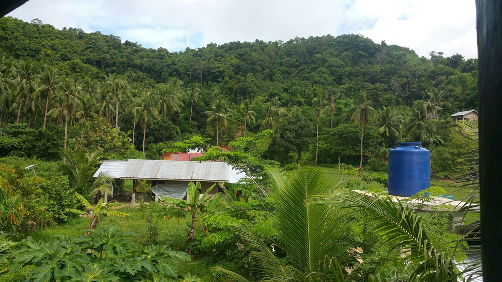 El Nido Dragonfly, El Nido