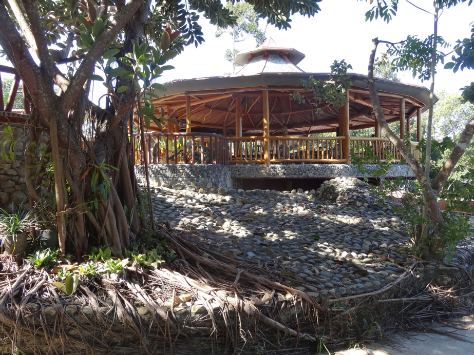 Atremaru Jungle Retreat, Puerto Princesa City