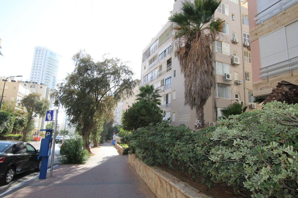 The Seasons King David apartment,