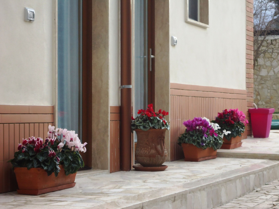 Villa Dafne, Bari