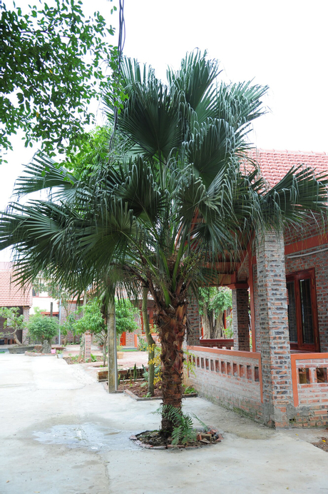 Ninh Binh Eco Garden, Gia Viễn