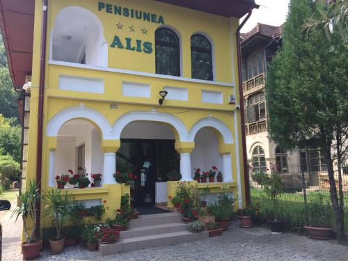 Pensiunea Alis, Calimanesti