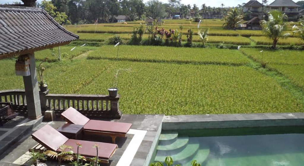 Ala's Green Lagoon, Gianyar
