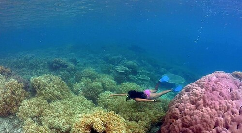 Raja Ampat Doberai Eco Resort, Raja Ampat