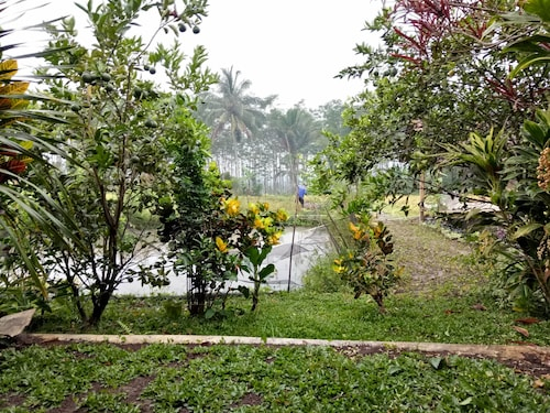 Asparin Homestay, Banyuwangi