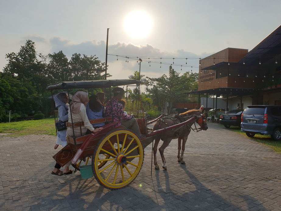 Borobudur Bed and Breakfast, Magelang
