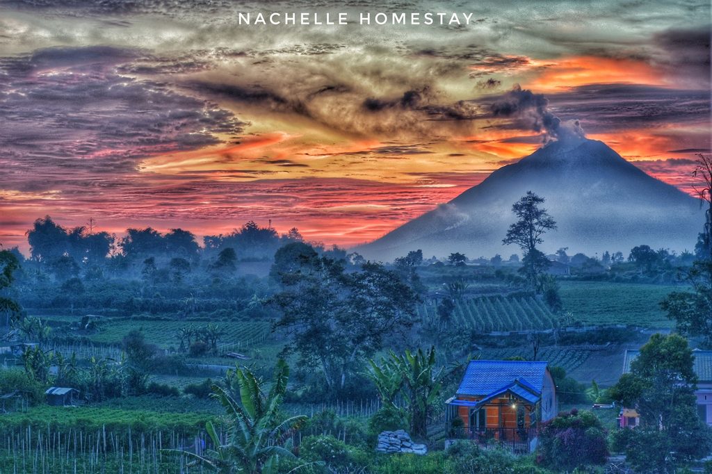 Berastagi Nachelle Homestay, Karo
