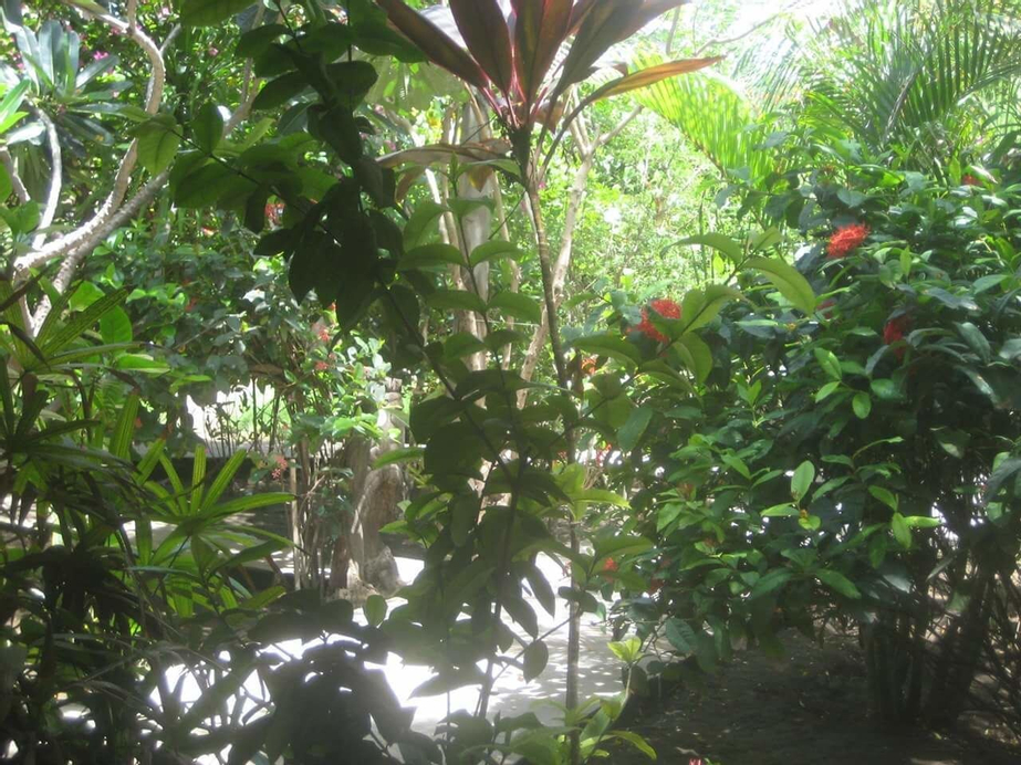 Rumah Purnama, Lombok