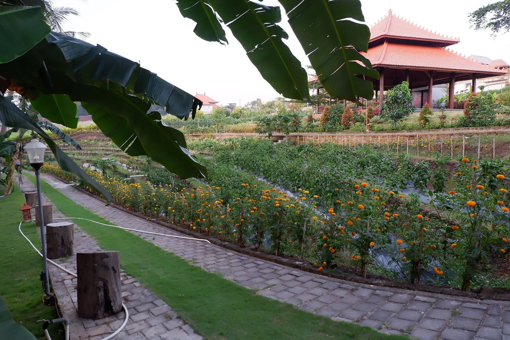 Apple Resort Retreat Spa, Tabanan