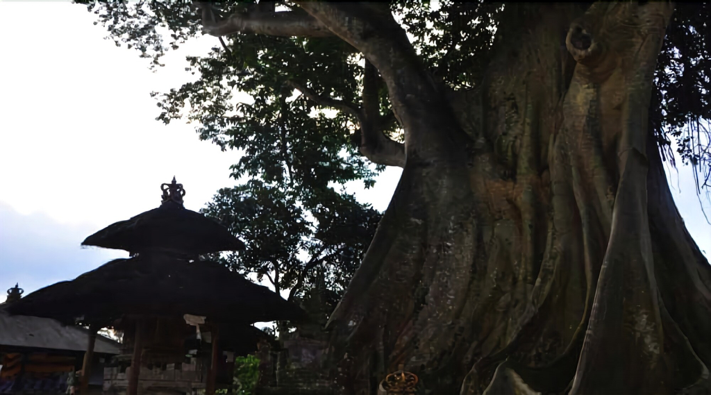 Rumah Desa, Tabanan