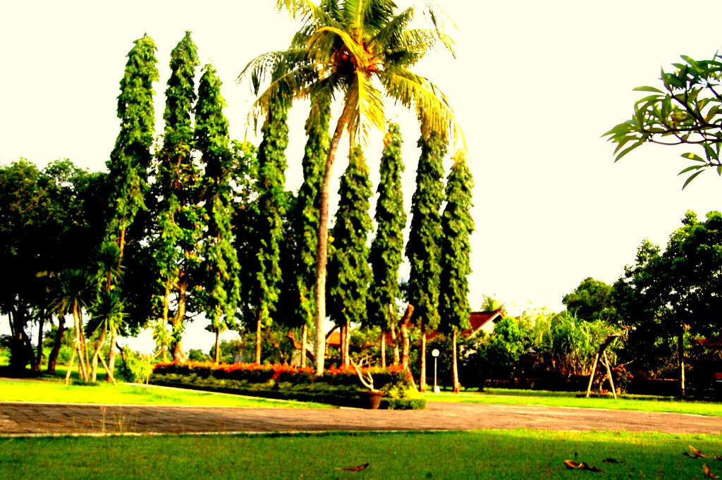 Dhyanapura City Hotel, Badung