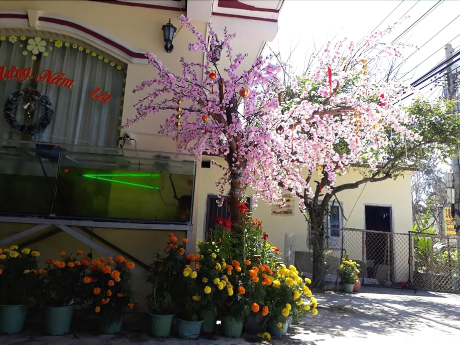 Lucky Ann, Phan Thiết