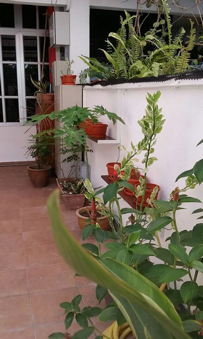 Mama Mia Home - Bukit Mertajam, Seberang Perai Tengah